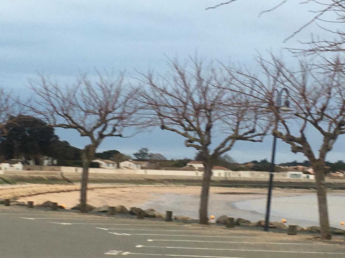 La Petite Maison Sur L'Ile De Re La Flotte Kültér fotó